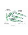 Stem Cell Fluid 25 x 2ml
