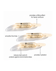 Benefits infographic for Janssen Cosmetics Skin Contour Fluid Ampoules highlighting improved-looking firmness and facial contours.